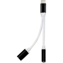 ZR310 Ft Ac 20 Type-C 2 In 1 Çevirici Midastech