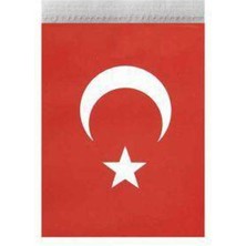 Parti Show Ipli Ay Yıldızlı Bayrak Mini Boy 10*5 cm 40'lı
