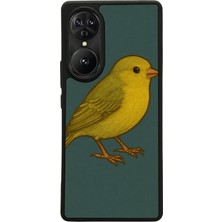 Reeder S19 Max Pro S Edge Uyumlu Fenerbahce Tasarımlı Glossy Premium Kılıf