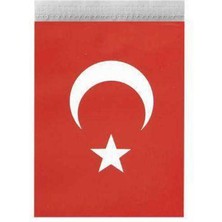 Parti Show Ipli Ay Yıldızlı Bayrak Orta Boy 13*8 cm 40'lı