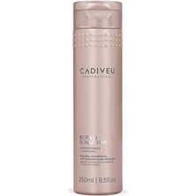 Data Store Repaır Solutıon Bakım Kremi 250ML