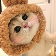 Özbience Sevimli Pofuduk Kedi Beresi, Sıcak ve Yumuşak Kedi Şapkası
