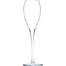 Indispensablely Veneto Şampanya Bardağı 6'lı