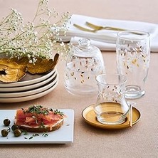 Indispensablely Troya 12'li Çay Seti