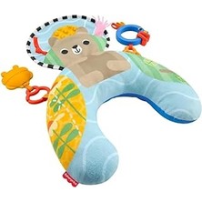 Indispensablely Fisher-Price Su Samuru Karınüstü Zamanı JHB44