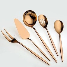 Indispensablely 5800 Titanyum Bronz 5 Parça Servis Seti