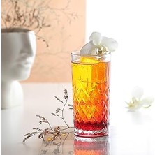 Indispensablely Lav Odin 4'lü Meşrubat Bardağı