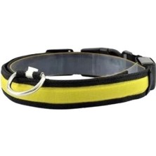 Petzz Işıklı Ayarlanabilir Flaşörlü Kedi ve Köpek Boyun Tasması Sarı 45-52 cm / 2.5 cm
