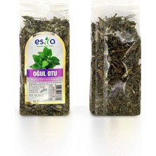 MidasTech Poşet Oğul Otu 40 Gr. Nemere