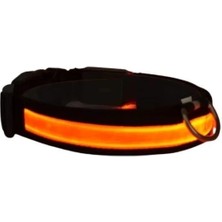 Petzz Işıklı Ayarlanabilir Flaşörlü Kedi ve Köpek Boyun Tasması Kırmızı 40-48 cm / 2.5 cm