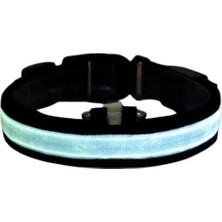 Petzz Işıklı Ayarlanabilir Flaşörlü Kedi ve Köpek Boyun Tasması Mavi 35-43 cm / 2.5 cm