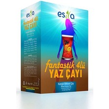 MidasTech Fantastik 4 Lü Yaz Çayı 45 Li. Nemere