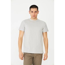 White Stone Gri Basic Bisiklet Yaka Erkek T-Shirt
