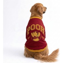 Pawstar Pooh Honey Winnie Orta-Büyük Irk Için  Köpek Sweatshirt Köpek Sweat Köpek Kıyafeti
