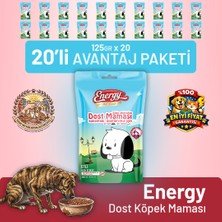 Pet Food Energy Dost Köpek Maması - 20 Adet