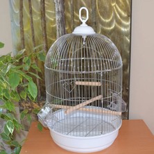 EuroGold Storozal Salon Kafesi Yuvarlak Kafes Krom Ø34X55 x 1 Adet