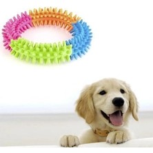 Nexgen Köpek Oyuncağı Yuvarlak Diş Temizleyici Oyuncak