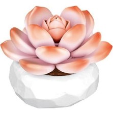 Kaia Life P655058 Panlos Monroe Sukulent Model 86 Parça Block Oyuncak