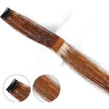 Dua Giyim Klipsli Hair Tinsel Simi / HTK19