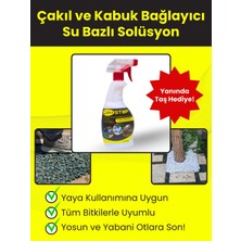 Taş Hediyeli 0,5 kg Sprey Çakıl Stop Bağlayıcı Solüsyon - Su Bazlı Çakıl ve Kabuk Bağlayıcı