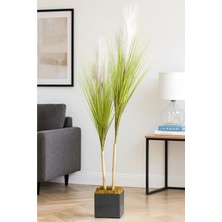 Doğal Görünümlü 140 cm Beyaz Sazlık Bambu Gövdeli Ahşap Saksılı Yapay Dekor