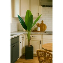 Mutfak Için Yapay Muz Ağacı Gerçek Görünüm 130 cm Doğal Ahşap Saksılı