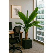 Muz Ağacı Balkonlarınız Için Gerçek Yaprak Görünüm Yapay Ağaç 130 cm Doğal Ahşap Saksılı