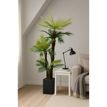 Palmiye Ağacı Yapay – 160 cm Ahşap Saksılı 3 Gövdeli Doğal Ev Iş Yeri Ofis Otel Için Uygundur