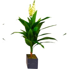 Sümbül Ağacı Yapay Ağaç 130 cm Doğal Ahşap Saksılı