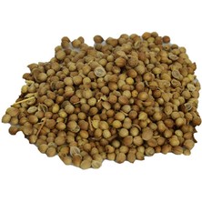 Kişniş Doğal Tane 100 gr Paket