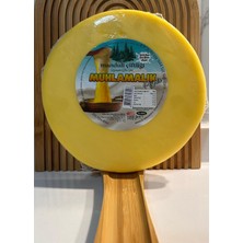 Manduli Çiftliği Muhlamalık Kolot