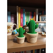 Asi 3D Tasarım 2'li Set: Örgü Dokulu Dekoratif Modern Kaktüs Biblo Seti