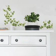 Indispensablely Roommates 54225 Sarmaşık