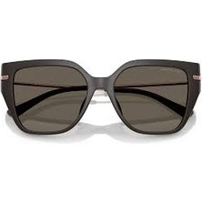 Michael Kors Mıchael Kors 2231U 4003/3 54 Güneş Gözlüğü