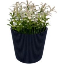 MidasTech Çizgili Yuvarlak Saksı Çiçek ROYALEKS-5706 Nemere