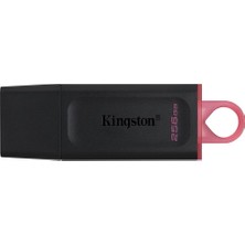 Ronanna Kingston DTX-256GB 256GB Usb3.2 Gen 1 Datatraveler Exodia (Black + Pink)Flash Bellek