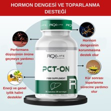 Pct On – Döngü Sonrası (Post Cycle Therapy) Desteği | Hormon ve Karaciğer Sağlığı Için Formül