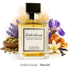 Emilla Grandy Marciel – Baharatlı ve Oryantal Erkek Parfüm | Uzun Kalıcı Extrait Parfüm