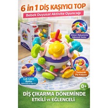 BURADABULDUN 6 In 1 Diş Kaşıyıcı Bebek Topu- Çıngıraklı Oyuncak