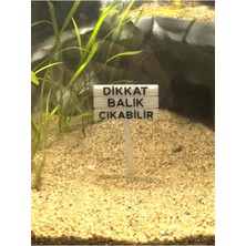 Mavi Fosforlu Dikkat Balık Çıkabilir Tabela Akvaryum Dekoru