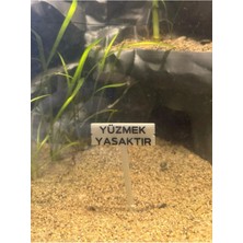 Mavi Fosforlu Yüzmek Yasaktır Tabela Akvaryum Dekoru