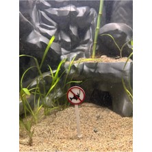 Mavi Fosforlu Balık Tutmak Yasaktır Levha Tabela Akvaryum Dekoru