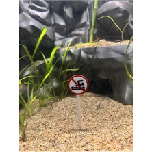 Yeşil Fosforlu Yüzmek Yasaktır Levha Tabela Akvaryum Dekoru