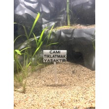 Yeşil Fosforlu Camı Tıklatmak Yasaktır Tabela Akvaryum Dekoru