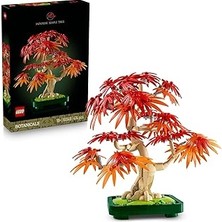 Indispensablely Botanicals Japon Kırmızı Akçaağaç Bonsai Ağacı 10348 - Kırmızı Kehribar Sarısı Yapraklara S