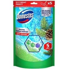 5 Adet Domestos Wc Blok Çam Ferahlığı 5 x 50 G