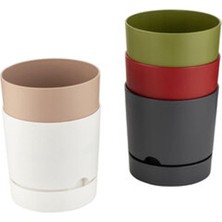 2 Adet Poliwork Begonya Saksı 0,95 Lt