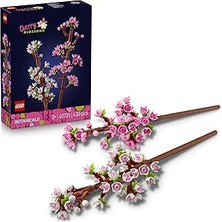 Indispensablely Botanicals Kiraz Çiçekleri 40725 – 8 Yaş Üzeri Çocuklar Için Doğum Günü Hediyesi Fikri, Pas