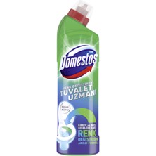 3 Adet Domestos Tuvalet Temizleyici Çamaşır Suyu 750 ml