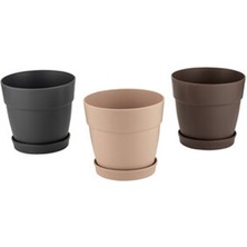 5 Adet Poliwork Manolya Saksı 1,1  Lt